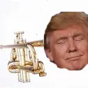trumpot avatar