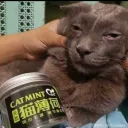 Аватар pulsar19.