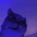 akii_._