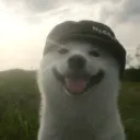 n0step_