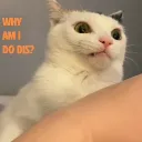 overcomegreed avatar