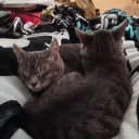 strained72