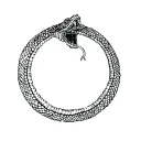 .ouroboros_