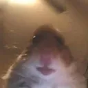 eToast