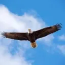 ccloudsss