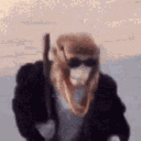 br3adlo4f