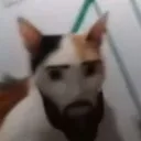 cuteforall avatar