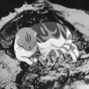 avatar koshaciy X V I ı  ИЛИ ПОП-ИТ