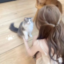 avatar 𝘭𝘪𝘷𝘪𝘯𝘢