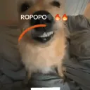 fufunoir