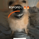 fufunoir