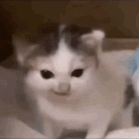 avatar 𝓮𝓵𝓲𝓼𝓮 < 3