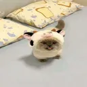 cobraplaysliveyt