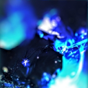 avatar BarsamXVI