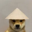 _not_6741_