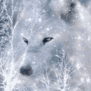 the_wolf_lover