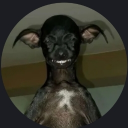 goooos3y's Avatar