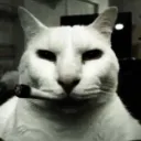 slinkygod1