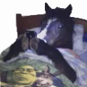 jaysockx