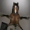 jaysockx
