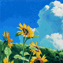 sunnyflower