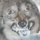 gwolves