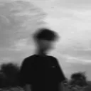 asonest