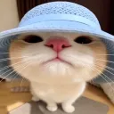 vin_yt