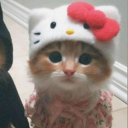 avatar 'Sarahᴸᴱᴵᴺ 🌸