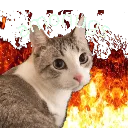 katwithacapitalt avatar