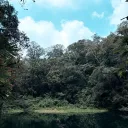 atl_ann_tis