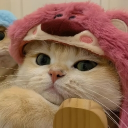 Discord Avatar