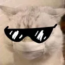 autodoggo avatar