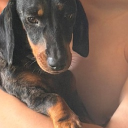 avatar ultimatechampion