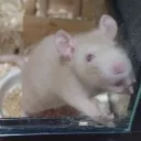 uuui1
