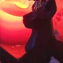 midnightpriest