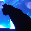 chaomittens