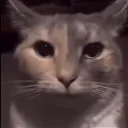 _cerzix_