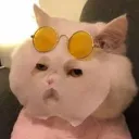 snackssnax avatar