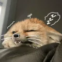 wiixv