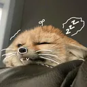 wiixv