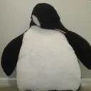 penguins826