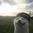 uptoyouuuuu