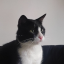 avatar Adrian Delvin