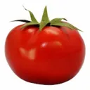 poiuytrewqlkjhgfdsamnbvcxzplmzaq