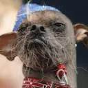 Raunch E Dawg avatar