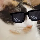 immlf avatar