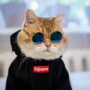 gamerdude7279