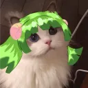 michaelhimiko