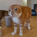 luizkkkj